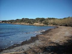 183 D20 PRESQU ILE DE GIENS 3_000034